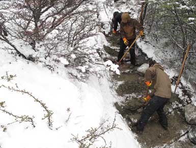 Trail work